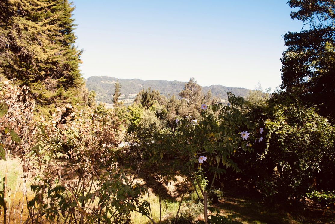El valle visto desde el prado de la cabaña
