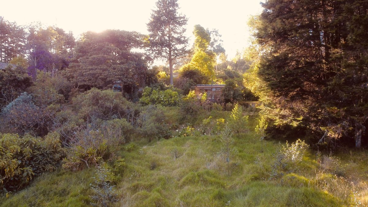 El jardín al atardecer