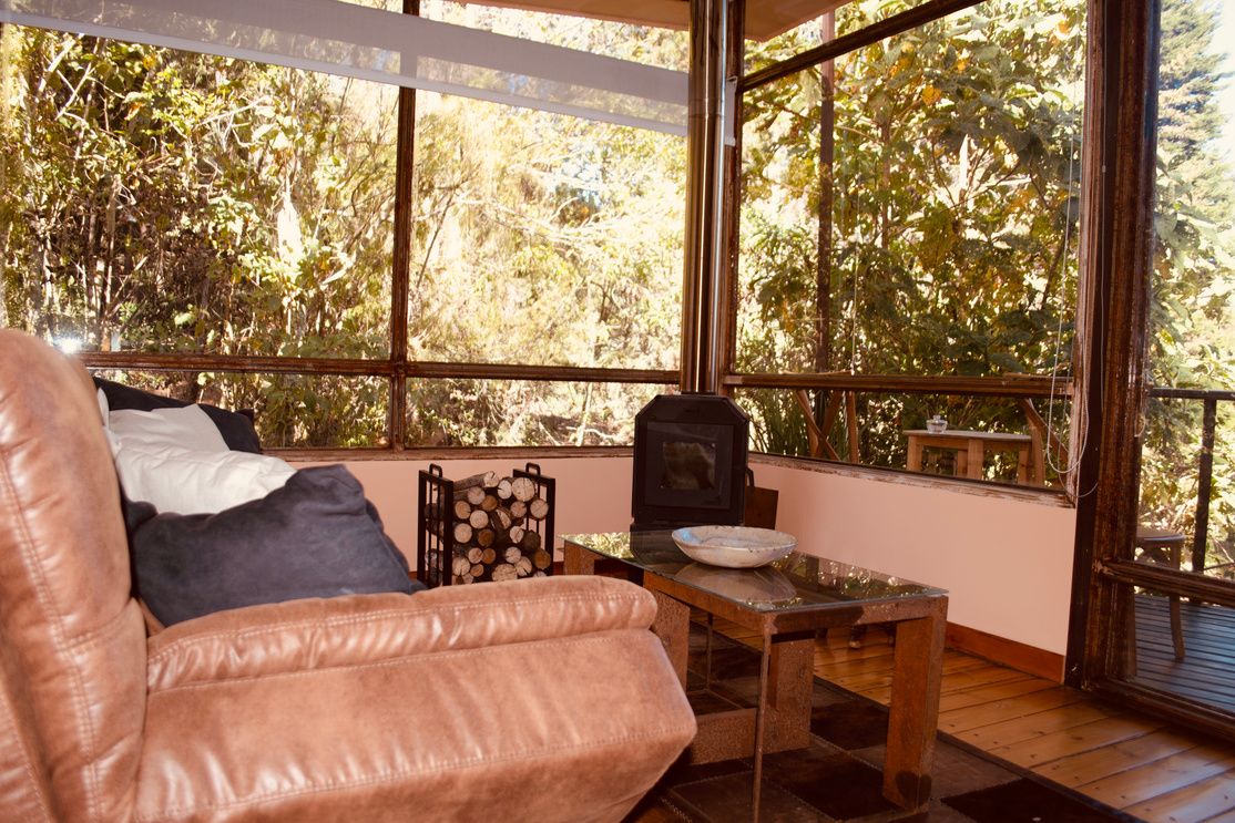 El sofá cama de la sala, junto a la mesa de centro